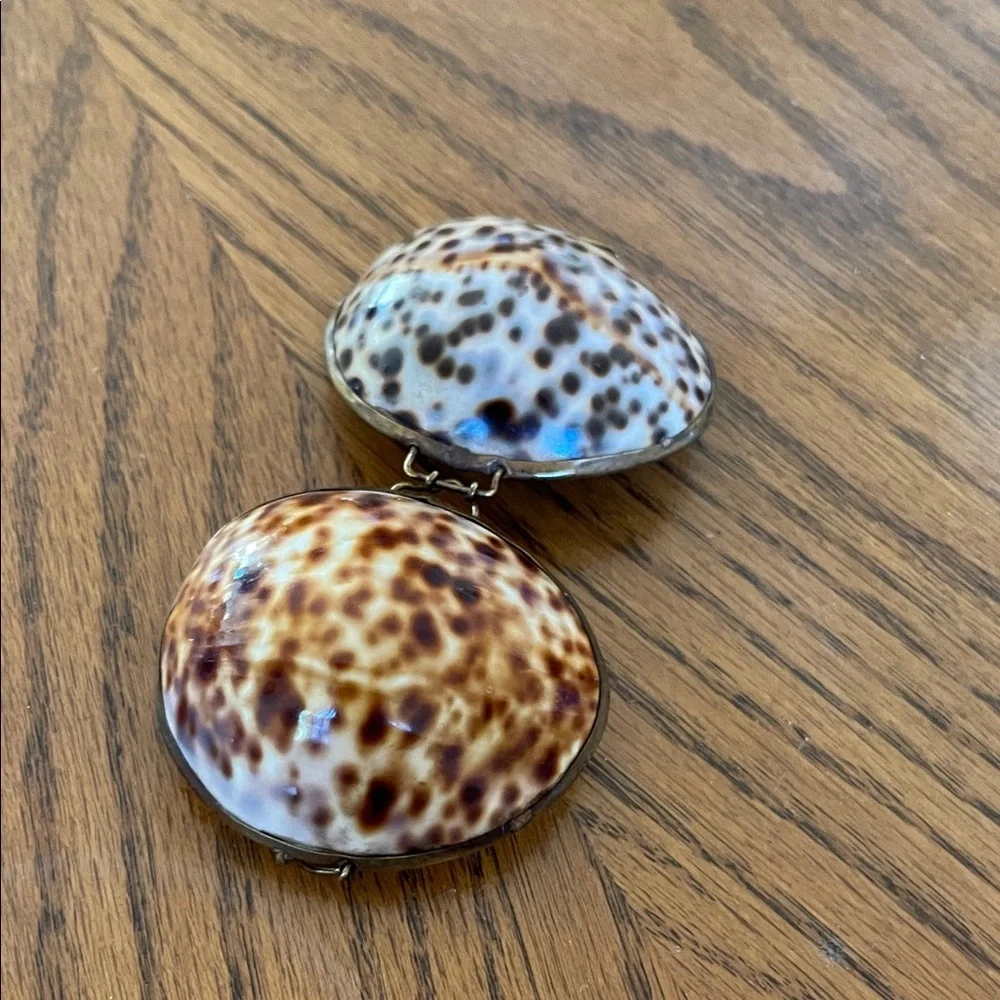 Polished Speckled Shell Trinket Box